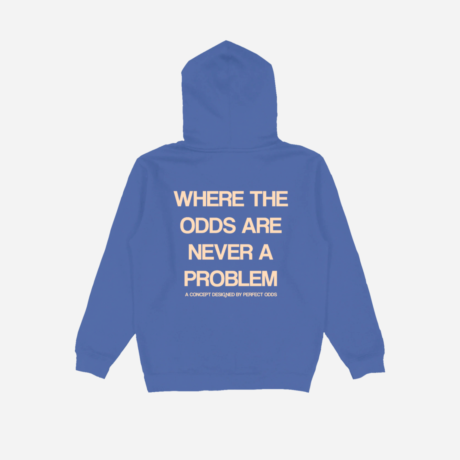 NEVER A PROBLEM HOODIE